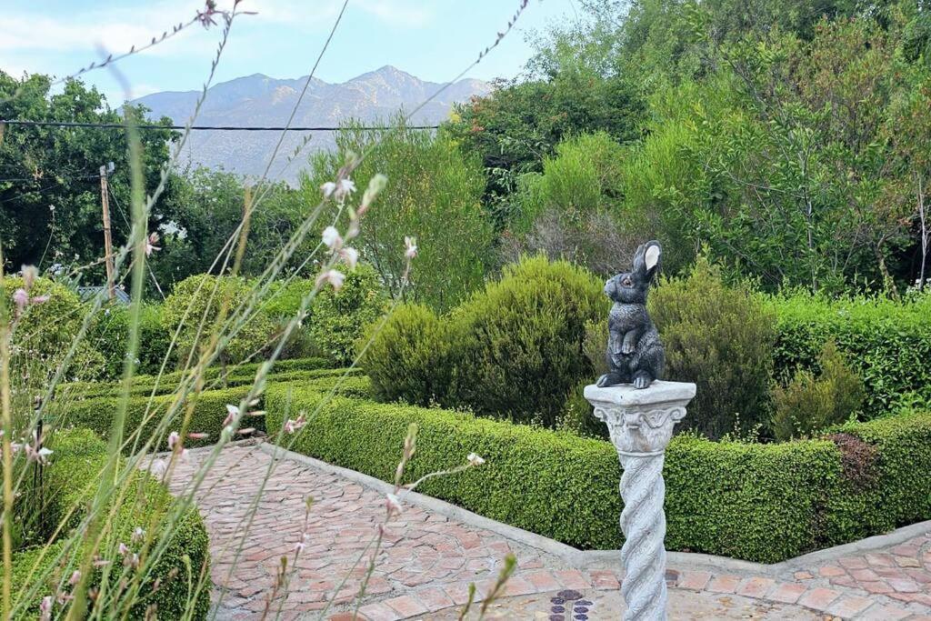 מונטאגו Grey Rabbit Cottage מראה חיצוני תמונה